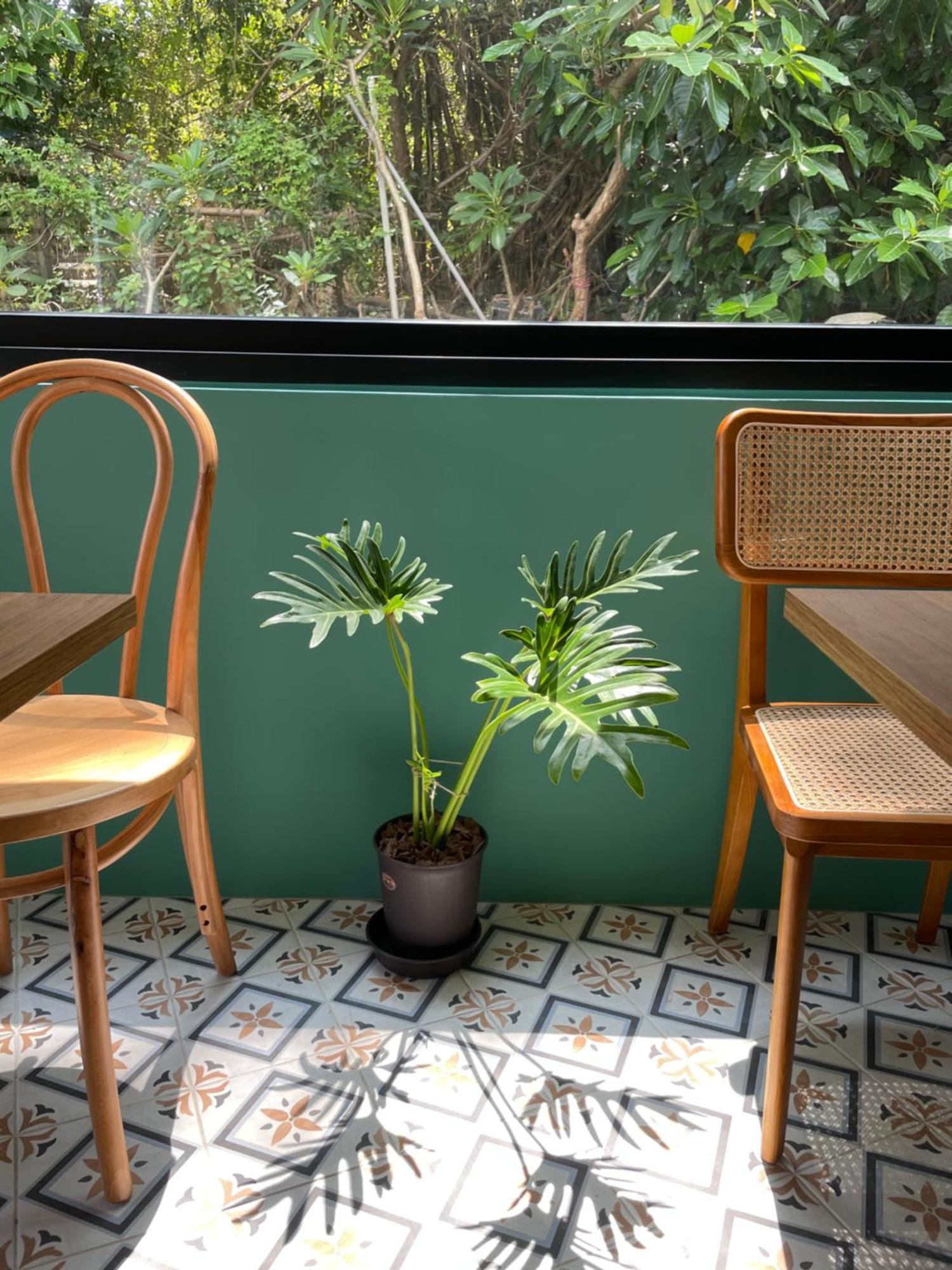 Lixia Hostel شياوليوكيو المظهر الخارجي الصورة